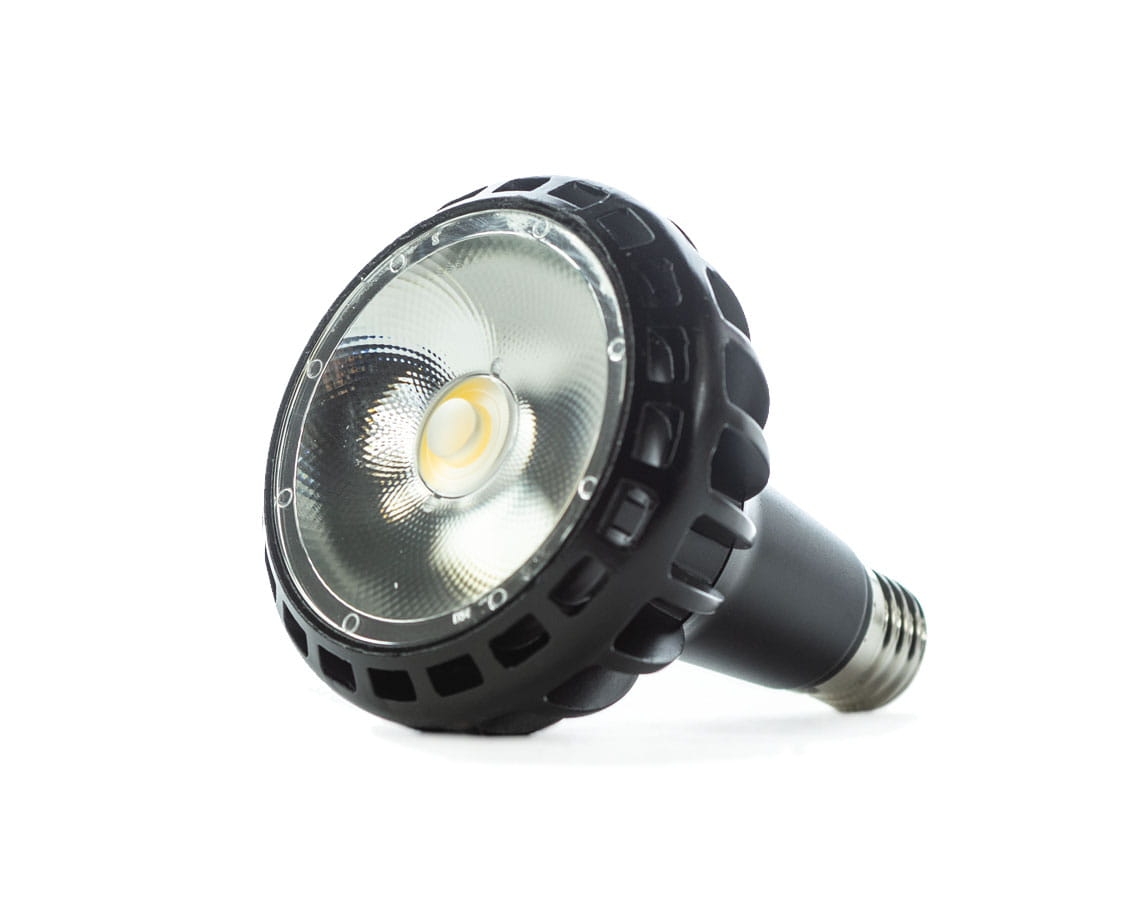 Żarówka PAR30 z trzonkiem E27 24 stopnie